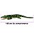 Jacaré Pelúcia Grande 160cm Crocodilo Realista Alligator - Imagem 2