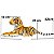 Leão Tigre Onça Kit Com 3 Pelúcias Bichos Safari Realista - Imagem 3