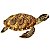 Tartaruga de Pelúcia Marinha 34cm Realista Macia turtle Mar - Imagem 2