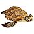 Tartaruga de Pelúcia Marinha 34cm Realista Macia turtle Mar - Imagem 10
