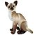 Gato Siamês de Pelúcia 30cm Realista Gatinho Sentado Lindo - Imagem 1