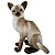 Gato Siamês de Pelúcia 30cm Realista Gatinho Sentado Lindo - Imagem 6