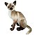 Gato Siamês de Pelúcia 30cm Realista Gatinho Sentado Lindo - Imagem 2