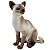 Gato Siamês de Pelúcia 25cm Realista Gatinho Sentado Lindo - Imagem 3