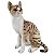 Pelúcia Gato Tigrado 25cm Gatinho Malhado Realista Sentado - Imagem 2