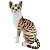 Pelúcia Gato Tigrado 25cm Gatinho Malhado Realista Sentado - Imagem 3