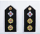 PLATINA TEN CORONEL PM - Imagem 1