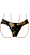 TANGA Biquini Borboleta Verde UVTRIBE - Imagem 1