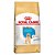 Royal Canin Dog Labrador Jr 12 Kg - Imagem 1