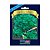 Sementes de Salsa Graúda Portuguesa Blue Line Topseed Garden Único - Imagem 1