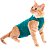Roupa Pós-Cirúrgica para Gatos Duo Dry Pet Med Verde Nº 05 - Imagem 1