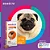 Bravecto 250 Mg (4,5 A 10kg) - Imagem 2