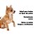 Shampoo Natural 700 Ml - Pet Clean - Imagem 2
