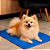 Tapete Gelado Rosa Para Pets Lavipets 40x50 - Imagem 2