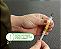 NexGard Combo Gatos até 2,5kg Antipulgas Vermífugo 0,3ml - Imagem 3