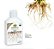 Fertilizante  Enraizador - Vitaplan 140ml (concentrado) Rende 1,4 lts - Imagem 2