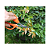 Tesoura Pequena 6" Pol. para Colheita ou Desbaste - Merax - Imagem 2