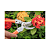 Tesoura Pro Bypass de Poda - Merax - Imagem 2