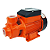 Bomba d' água Periférica BP1000 - Intech Machine - Imagem 1