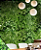 Vinil Impermeável Jardim Vertical 1,22 de largura - Alltak Decor - Imagem 2