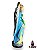 Sao Gabriel 20Cm - Imagem 4