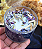 Vela Aromatica Momento Relax - Lavanda Bambu e Cidreira - Imagem 2