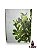 Quadro Folhas 40X30 73895 - Imagem 1