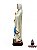 Lancamento Nossa Senhora de Lourdes Modelo Resina 30cm - Imagem 2