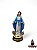 Lancamento Nossa Senhora das Medalhas Modelo Resina 10cm - Imagem 1