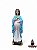 Lancamento Nossa Senhora Gravida Modelo Resina 15cm - Imagem 1