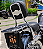 Sissy Bar Destacavel Cromado Rasante Deluxe 2008 até 2017 (Tubular) - Imagem 1