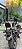 Sissy Bar Destacável Modelo Easy Rider - Preto Brilho Rasante Low Rider S 2018+ (Tubular) - Rasante - Imagem 6
