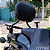 Sissy Bar Destacavel Preto Brilho Rasante Tubular Softail Low Rider S 2018 - 2025 - Imagem 2
