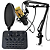 Kit Completo Microfone Condensador Knup KP-M0010 + Mesa de Som Tomate MPS-005 para Streaming, Podcast e Karaokê - Imagem 1