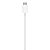 Carregador Apple MagSafe - Imagem 3