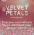 Body Splash Velvet Petals Shimmer Victoria'S Secret - 250ml - Imagem 2