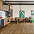 PISO LAMINADO EUCAFLOOR NEW EVIDENCE FREIJO AMBAR - 2,77M2 - Imagem 5