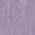 PISO VINILICO HOMOGENEO BELGOTEX XL PU AMETHYST - LRV-36 / 2MM - 40M2 - Imagem 1