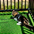 GRAMA SINTETICA 30MM IMPORTADA COM BASE VERDE PARA JARDIM KAPAZI 2X25M - 50M² - Imagem 3