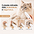 Máquina De Tosa Pet Aparador Elétrico De Pelos Cães Gatos Recarregável Sem Fio Silencioso - Imagem 6