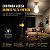 Kit 3 Lâmpadas De Emergência Recarregável Portátil Bulbo Led E27 20W Branco Frio Falta de Luz - Imagem 2