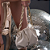 Bolsa Shell - Imagem 1