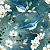 DS049 - Sarja Blue bird - Imagem 1