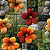 D2340 - HA Flores - Imagem 1