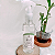 HOMESPRAY - BAMBU HOME - PET - Imagem 2