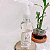 HOMESPRAY - FLOR DE CEREJEIRA - PET - Imagem 2