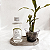 DIFUSOR DE VARETAS - BAMBU HOME - PET - Imagem 2