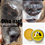 Combo Super Cão - 01 Hidra PETinhas + 01 Óleo essencial Bem-estar - Imagem 3