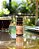 Óleo Essencial de Capim-Limão 10ml – Revigorante Natural, Foco e Bem-estar - Imagem 3