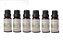 kit 6x Melaleuca (Melaleuca alternifolia) - 10 ml - Imagem 1